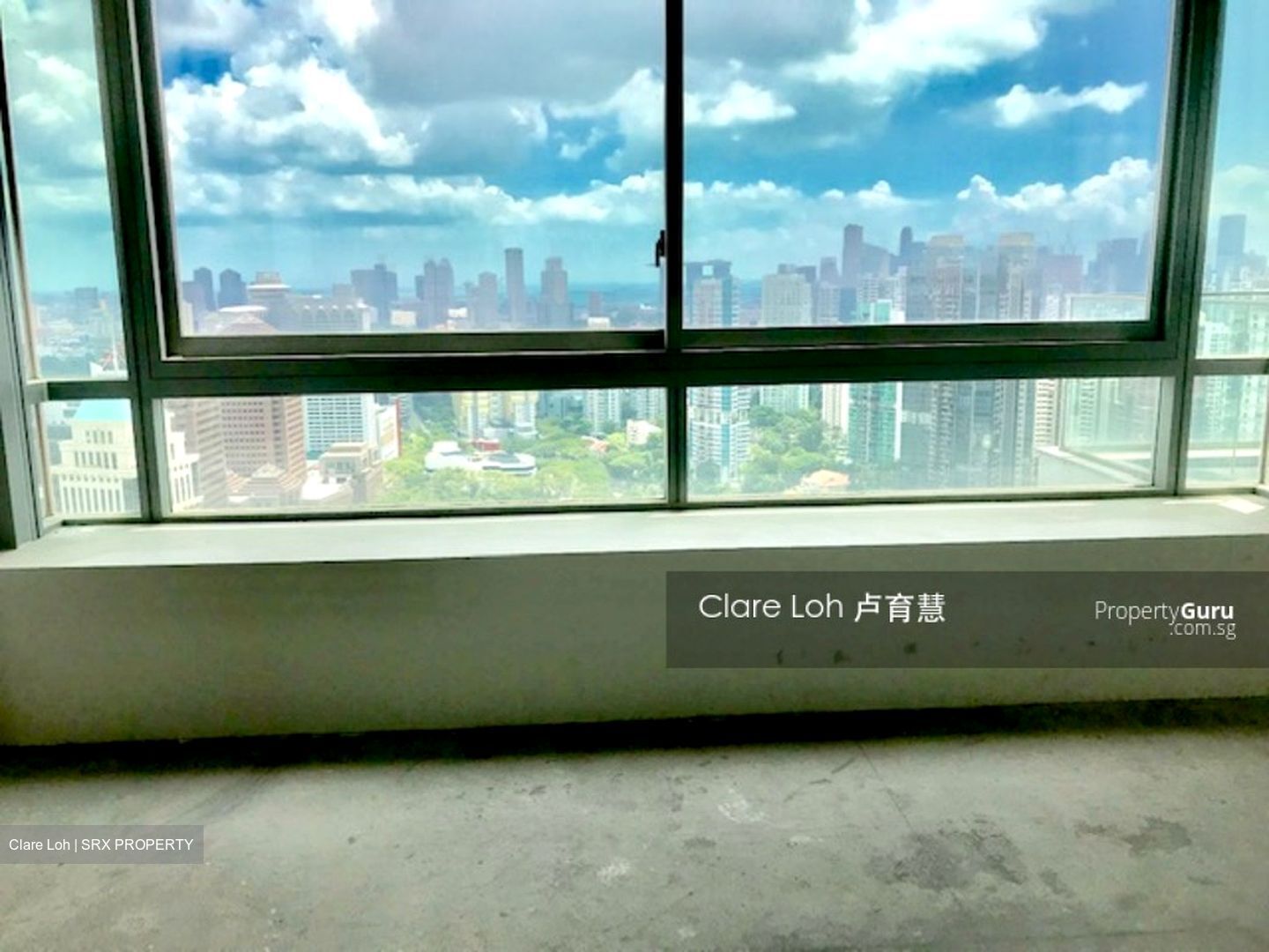 Skyline @ Orchard Boulevard (D9), Apartment #519808251